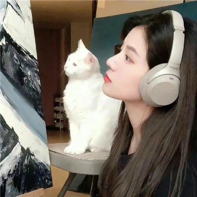雪原孤军